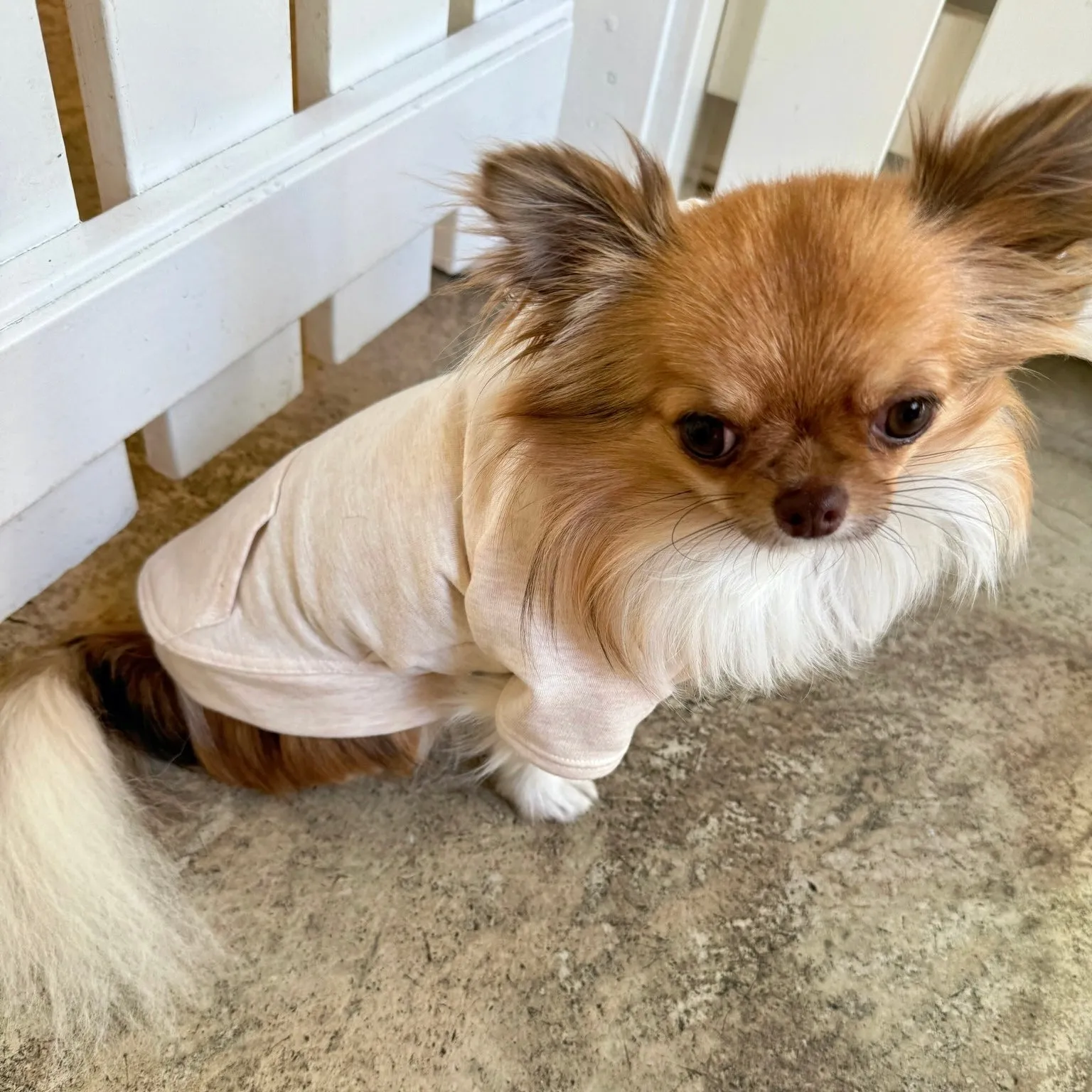 apple hoodie - heather almond