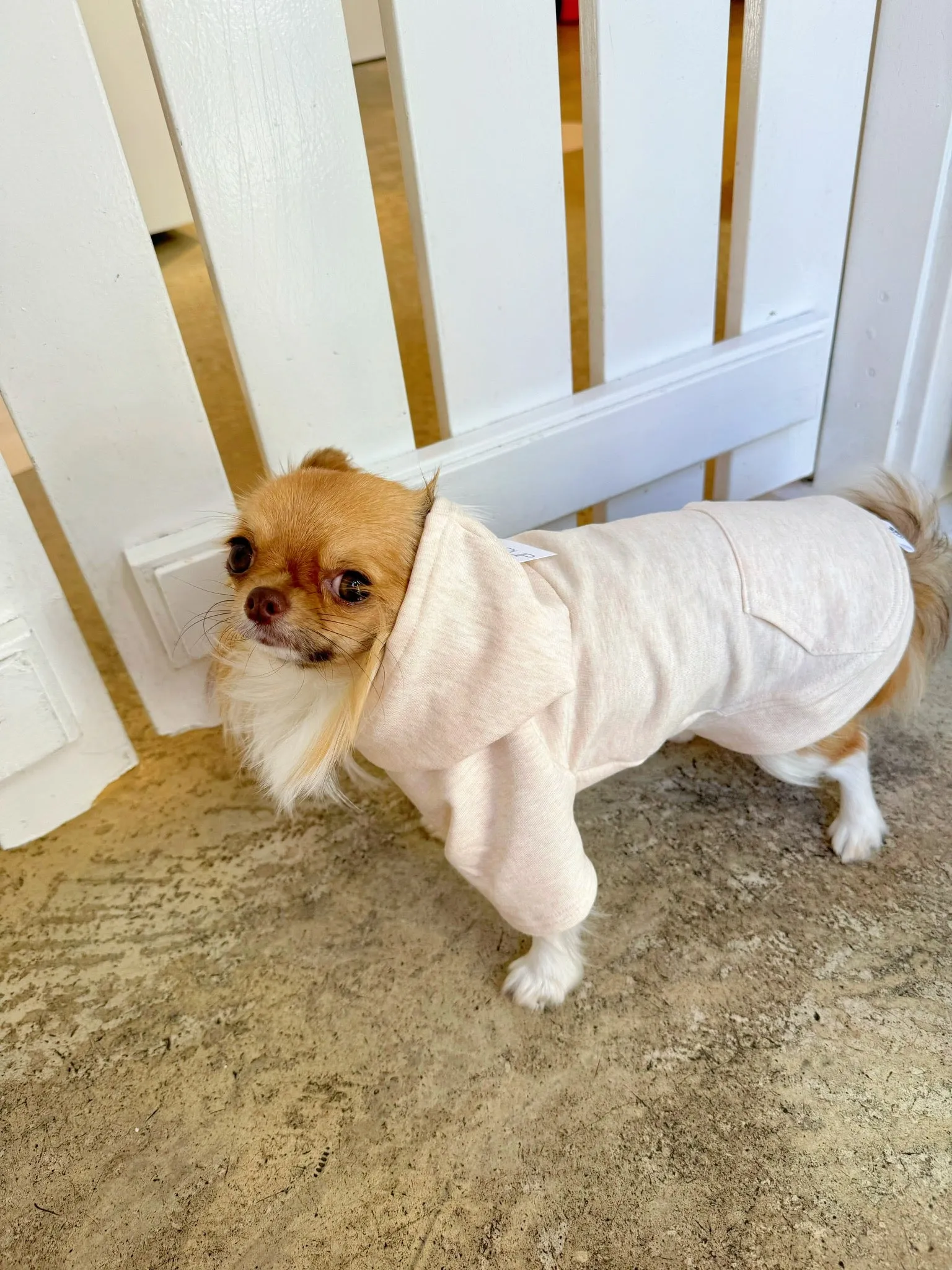apple hoodie - heather almond