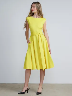 Boat Neck Flare Dress