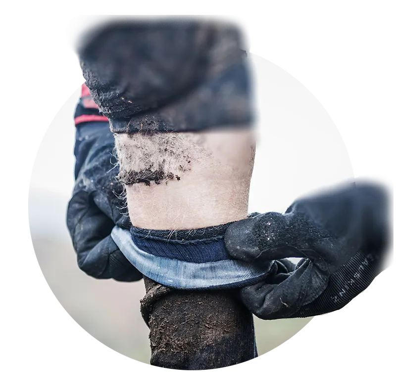 Briston Waterproof All Weather Mid Length Sock with Hydrostop Black/Neon by Sealskinz