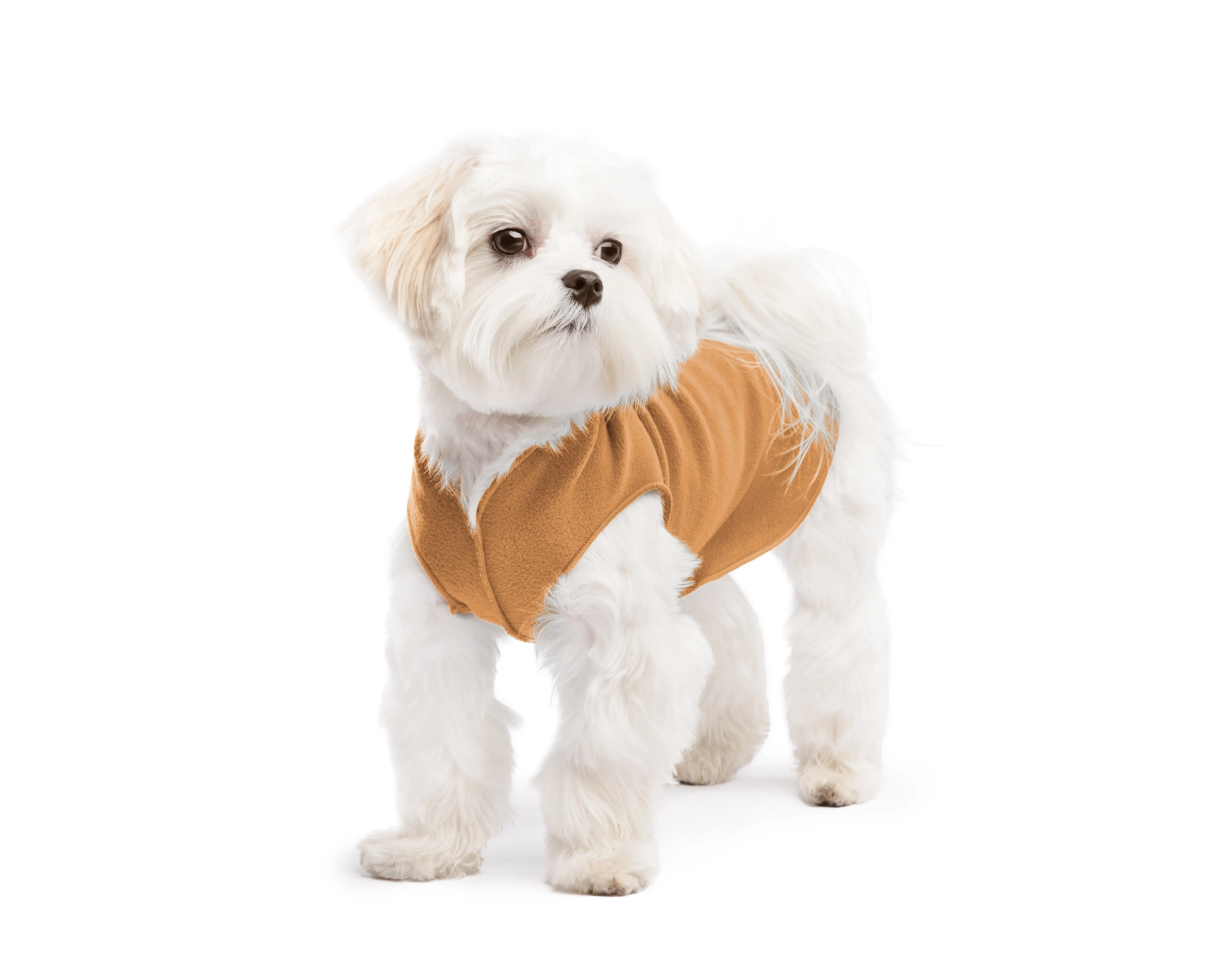 chipmunk stretch fleece