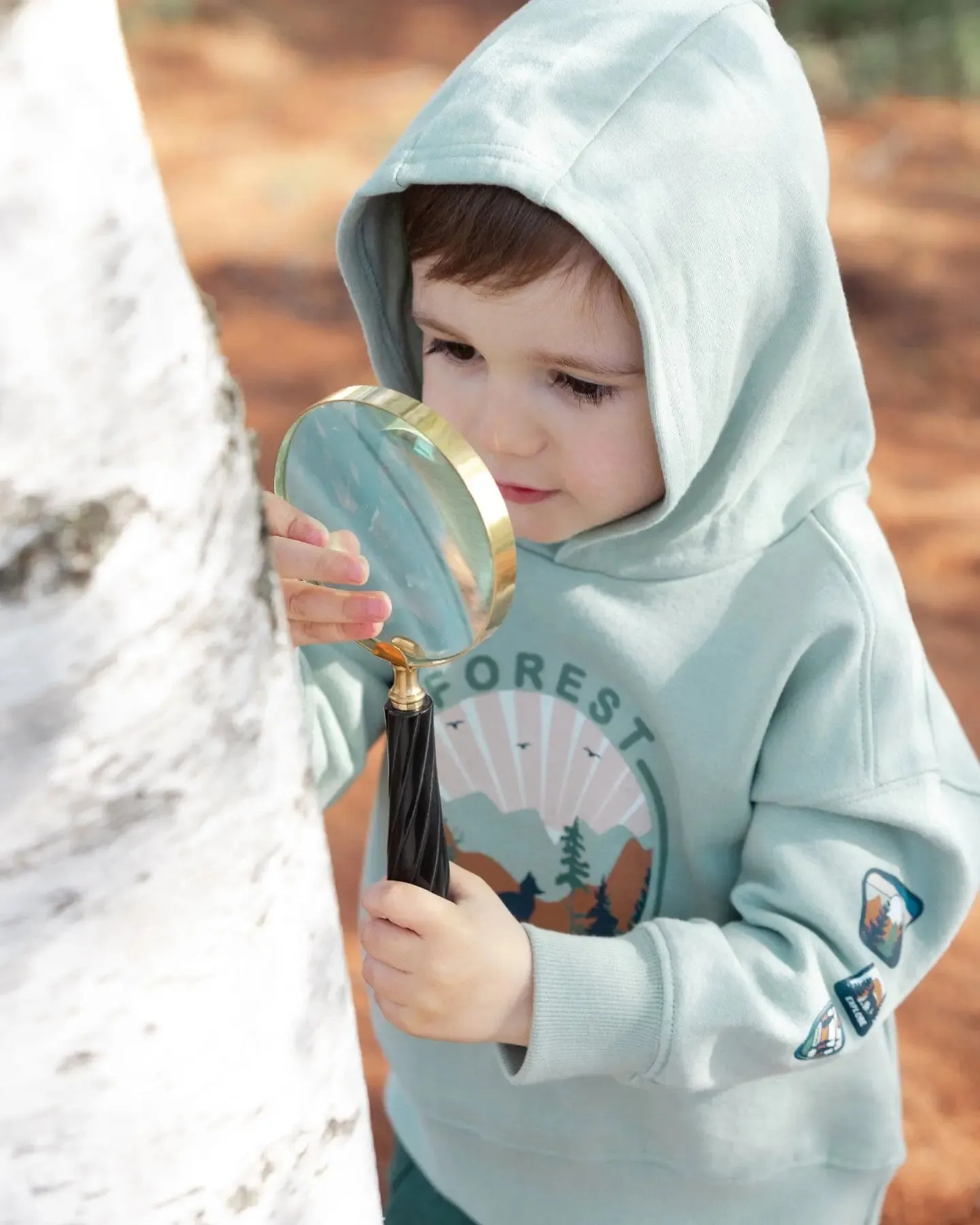 Hooded Fleece Sweatshirt With Print Sage
