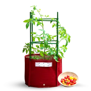Universal Tomato Planter Stacking Kit 150cm (Pot NOT Included)