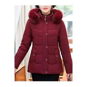 Women Elegant Hood Neck Solid Colored Warm Long Sleeve Pretty Padded Jacket - WJC23615
