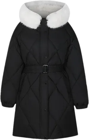 Women's Tie Waist Zipper Button Parka Coat Vintage Hooded Plush Hooded Stripe Cotton-Padded Jacket